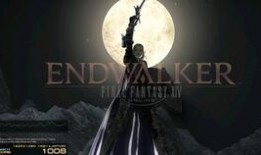 飞哥全网爆料视频大全最新,揭秘热点事件，洞察社会真相